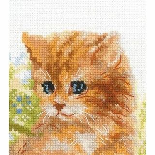 Les Chatons 1391 Riolis