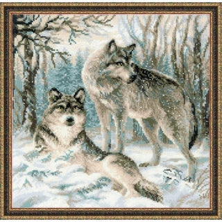 Loups admire la neige 1393 RIOLIS