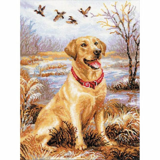Chien Labrador 1399 Riolis