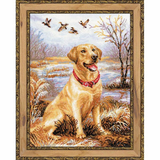 Chien Labrador 1399 Riolis