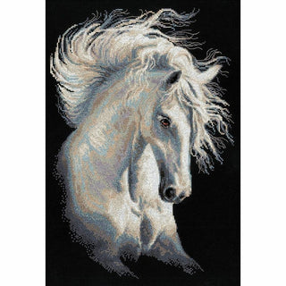 Cheval andalou 1451 Riolis