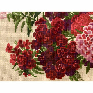 Sweet William 1463 RIOLIS