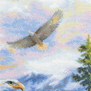 Aigle en vol 1471 Riolis