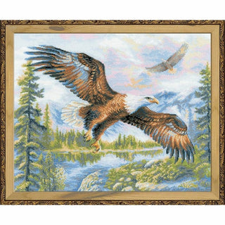 Aigle en vol 1471 Riolis