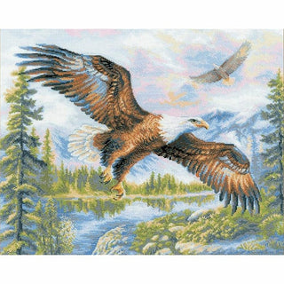 Aigle en vol 1471 Riolis