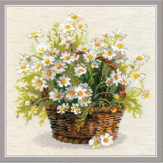 Panier de Marguerites - 1478 - Riolis