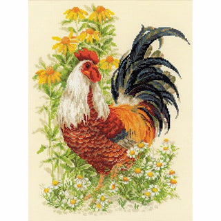 Coq 1479 Riolis