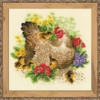 Poule 1480 Riolis