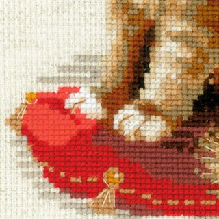 Chat de compagnie 1525 Riolis