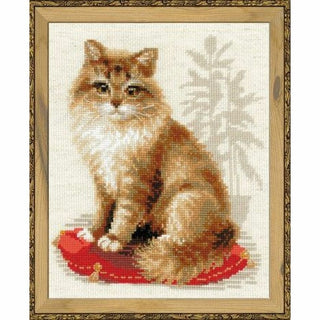 Chat de compagnie 1525 Riolis