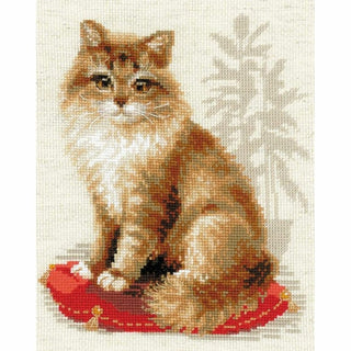 Chat de compagnie 1525 Riolis