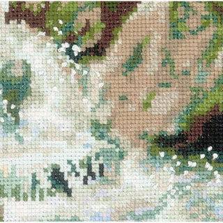 Rivière de montagne 1543 Riolis