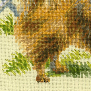 Chien Poméranien 1585 Riolis