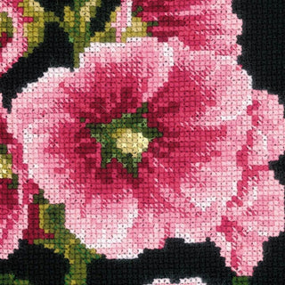 Rose trémière 1612 Riolis