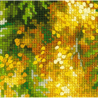 Mimosa 1615 RIOLIS