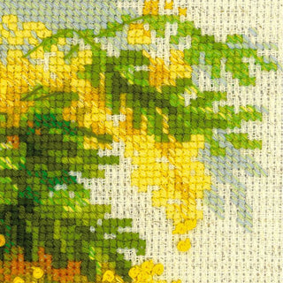 Mimosa 1615 RIOLIS