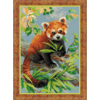 Panda roux 1627 Riolis