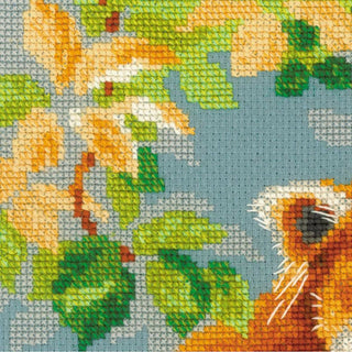 Panda roux 1627 Riolis