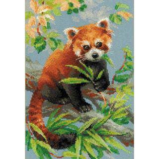 Panda roux 1627 Riolis