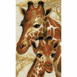 Girafes 1697 Riolis