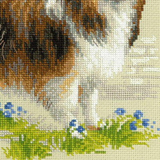 Chien Sheltie 1710 Riolis