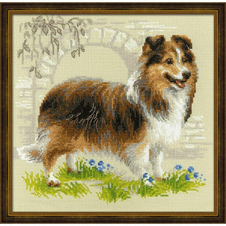 Chien Sheltie 1710 Riolis