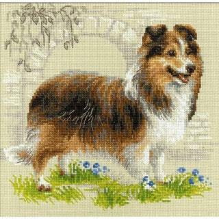 Chien Sheltie 1710 Riolis