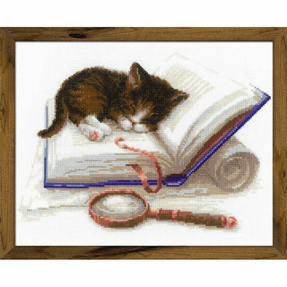 Chaton sur un livre 1725 Riolis