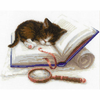 Chaton sur un livre 1725 Riolis