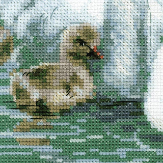 Cygnes Blanc - 1726 - Riolis