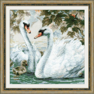 Cygnes Blanc - 1726 - Riolis