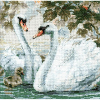 Cygnes Blanc - 1726 - Riolis