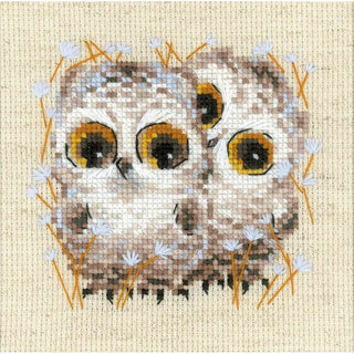 Petites chouettes 1755 Riolis