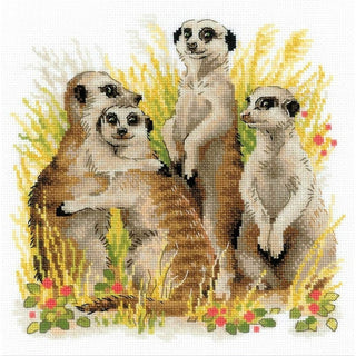 Suricates 1761 Riolis