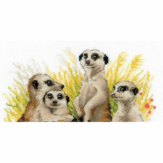 Suricates 1761 Riolis