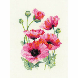 Coquelicots 1775 Riolis