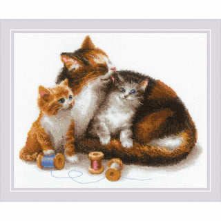 Chat avec des chatons 1811 Riolis