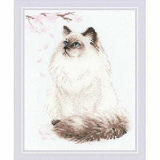 Chat Meow zen 1878 Riolis