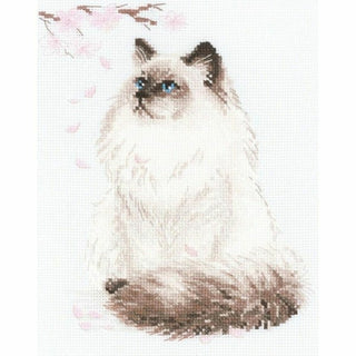 Chat Meow zen 1878 Riolis