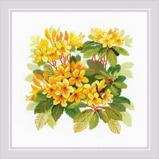 Rhododendron 1922 Riolis