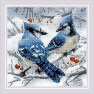 Oiseaux Geais bleu 1925 Riolis