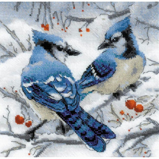 Oiseaux Geais bleu 1925 Riolis
