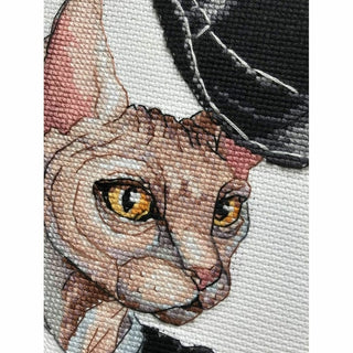 Le Chat Gentleman 1928 Riolis