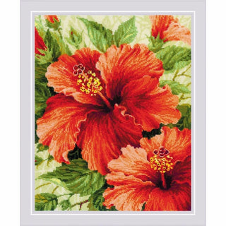 Fleurs Hibiscus 1967 Riolis