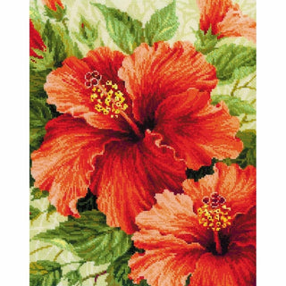Fleurs Hibiscus 1967 Riolis
