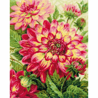 Dahlias 1968 Riolis