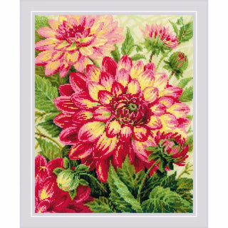 Dahlias 1968 Riolis