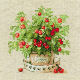 Tomates en pot 1983 Riolis
