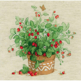 Fraises dans un pot 1984 Riolis