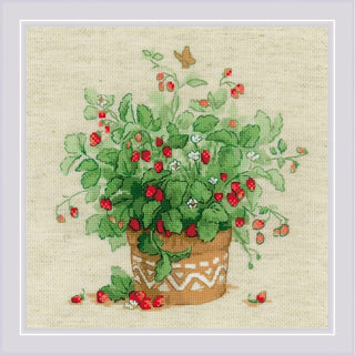 Fraises dans un pot 1984 Riolis